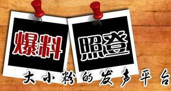 重庆新闻最新爆料,揭秘某神秘项目,背后真相令人震惊!